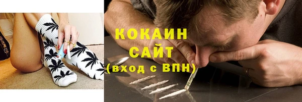сатива Верхний Тагил